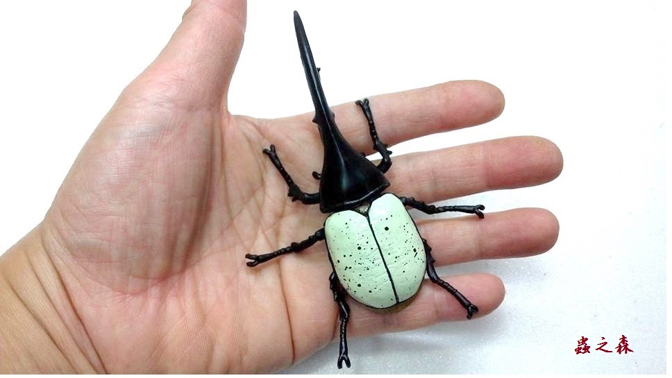 «ö¦¹¦b·sµøµ¡ÂsÄý¹Ï¤ù