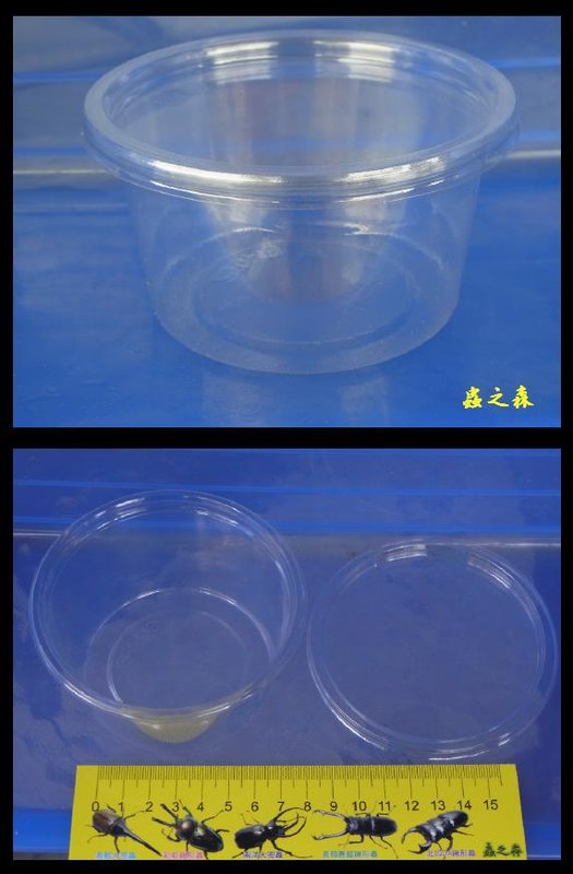 «ö¦¹¦b·sµøµ¡ÂsÄý¹Ï¤ù