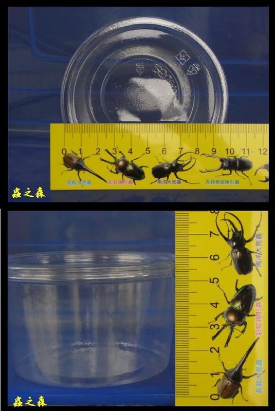 «ö¦¹¦b·sµøµ¡ÂsÄý¹Ï¤ù