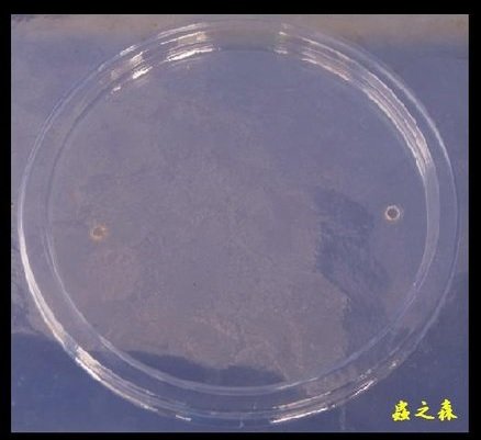 «ö¦¹¦b·sµøµ¡ÂsÄý¹Ï¤ù