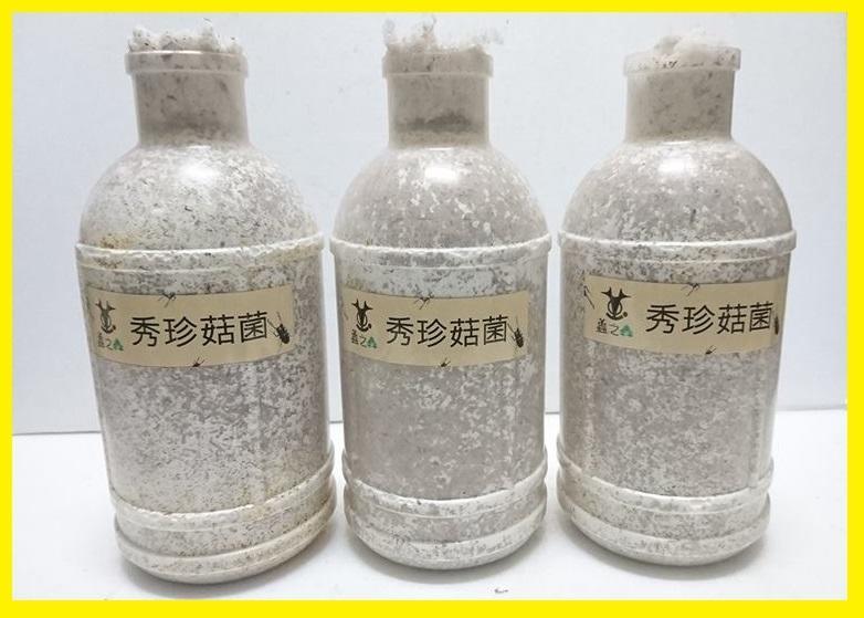 «ö¦¹¦b·sµøµ¡ÂsÄý¹Ï¤ù