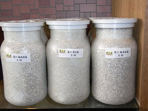 «ö¦¹¦b·sµøµ¡ÂsÄý¹Ï¤ù