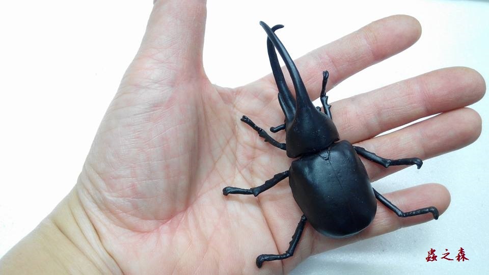 «ö¦¹¦b·sµøµ¡ÂsÄý¹Ï¤ù