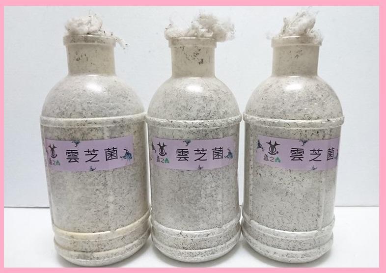 «ö¦¹¦b·sµøµ¡ÂsÄý¹Ï¤ù