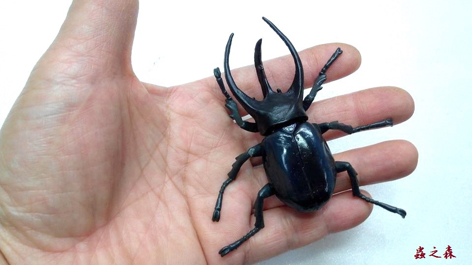 «ö¦¹¦b·sµøµ¡ÂsÄý¹Ï¤ù