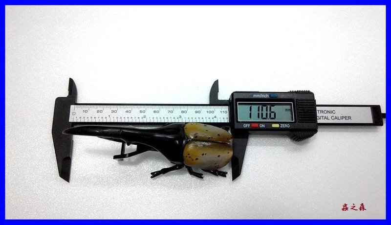 «ö¦¹¦b·sµøµ¡ÂsÄý¹Ï¤ù