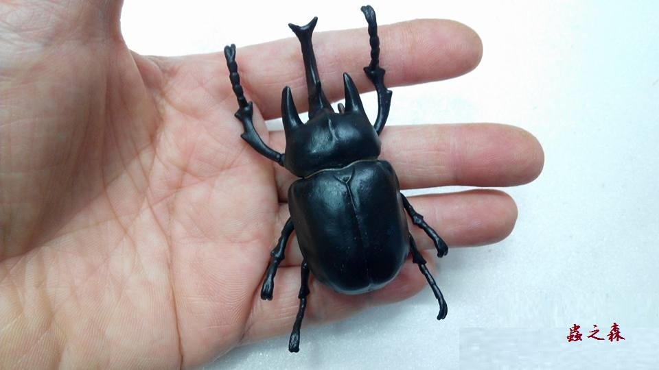 «ö¦¹¦b·sµøµ¡ÂsÄý¹Ï¤ù