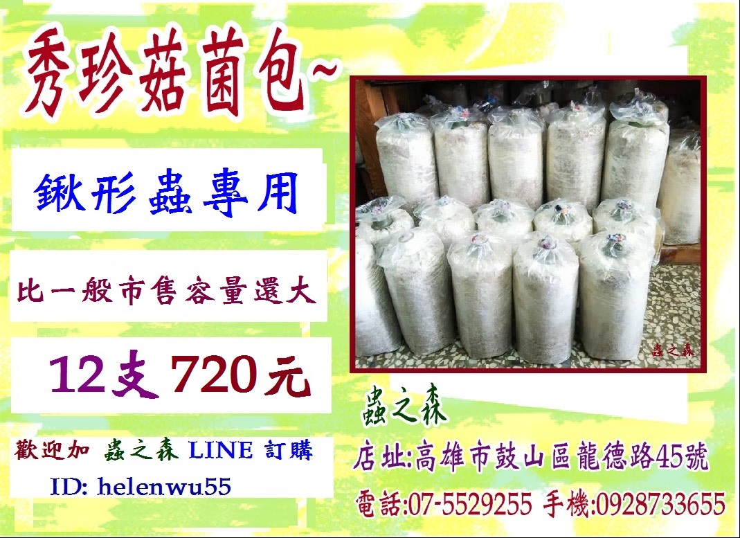 «ö¦¹¦b·sµøµ¡ÂsÄý¹Ï¤ù