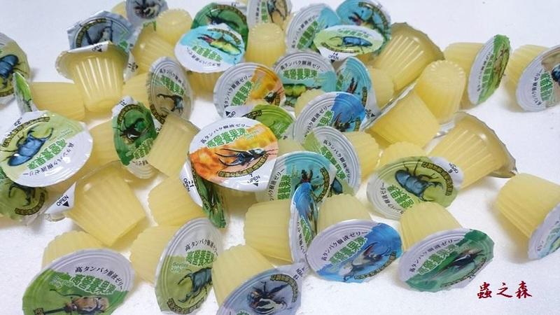 «ö¦¹¦b·sµøµ¡ÂsÄý¹Ï¤ù