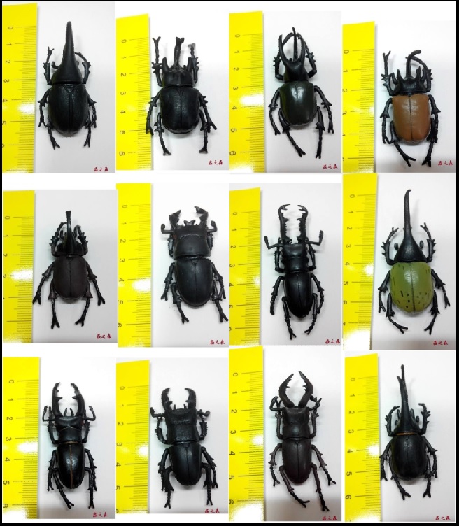 «ö¦¹¦b·sµøµ¡ÂsÄý¹Ï¤ù