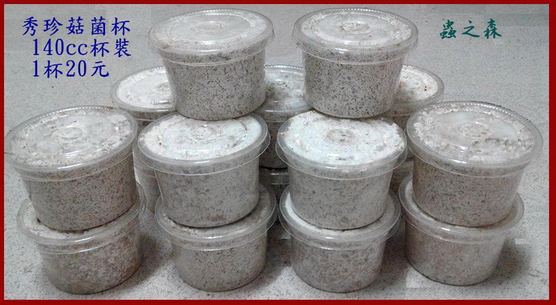 «ö¦¹¦b·sµøµ¡ÂsÄý¹Ï¤ù