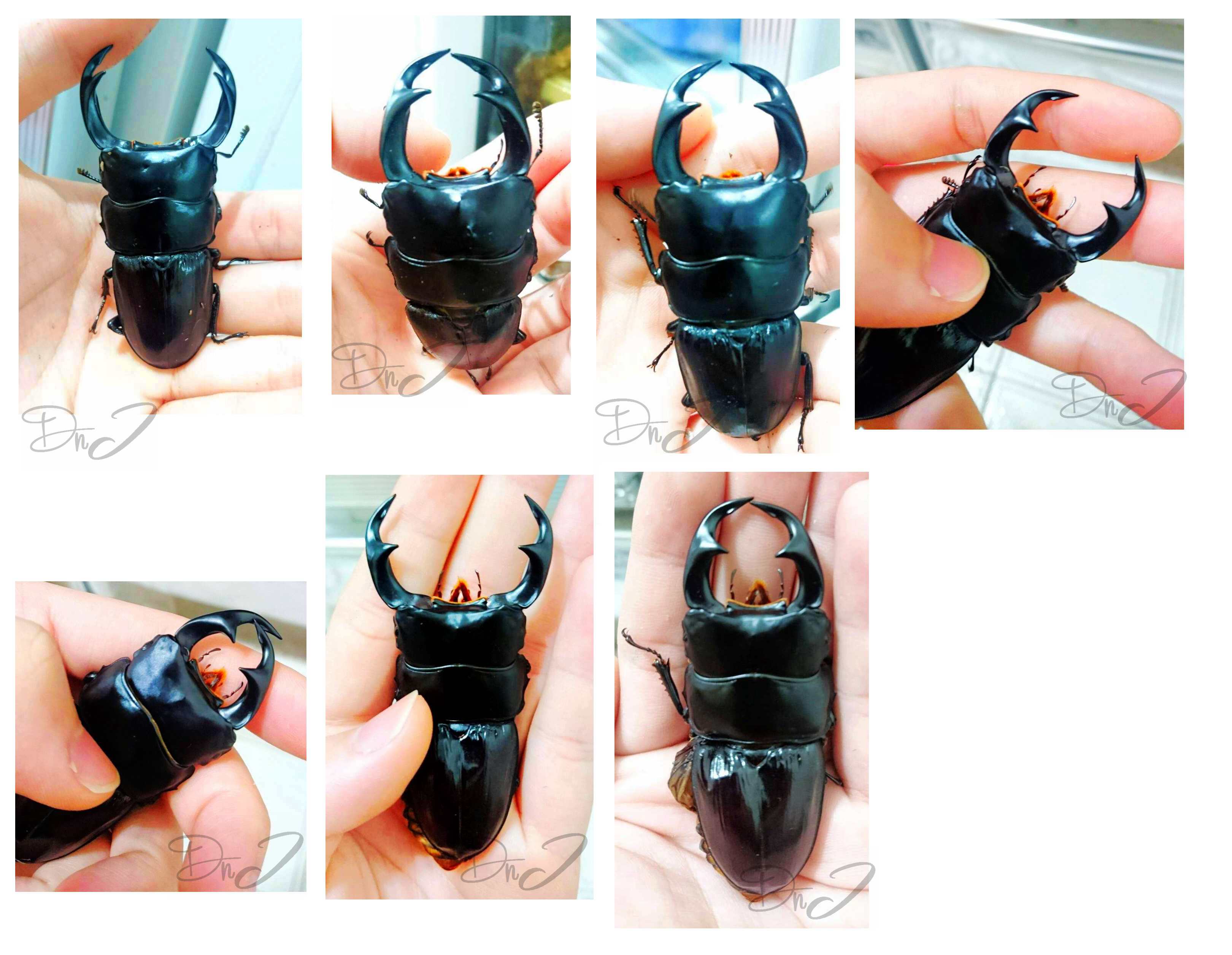 «ö¦¹¦b·sµøµ¡ÂsÄý¹Ï¤ù