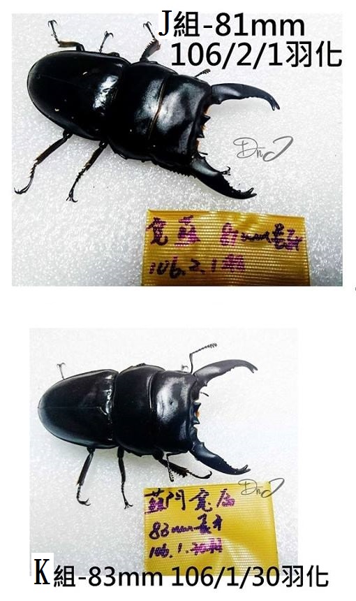 «ö¦¹¦b·sµøµ¡ÂsÄý¹Ï¤ù