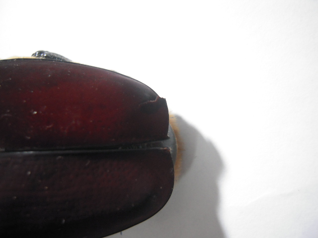 «ö¦¹¦b·sµøµ¡ÂsÄý¹Ï¤ù