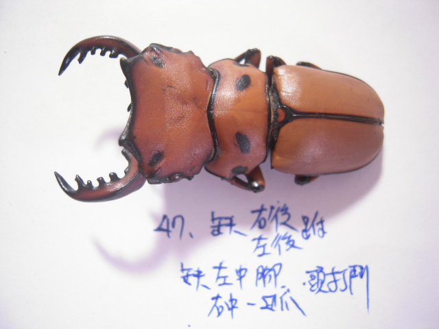 «ö¦¹¦b·sµøµ¡ÂsÄý¹Ï¤ù