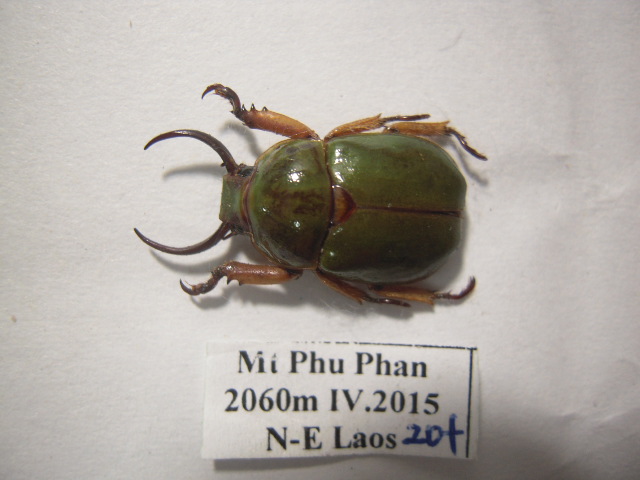 «ö¦¹¦b·sµøµ¡ÂsÄý¹Ï¤ù