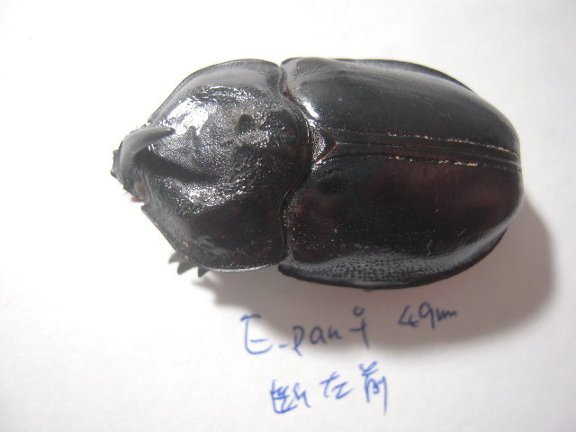 «ö¦¹¦b·sµøµ¡ÂsÄý¹Ï¤ù