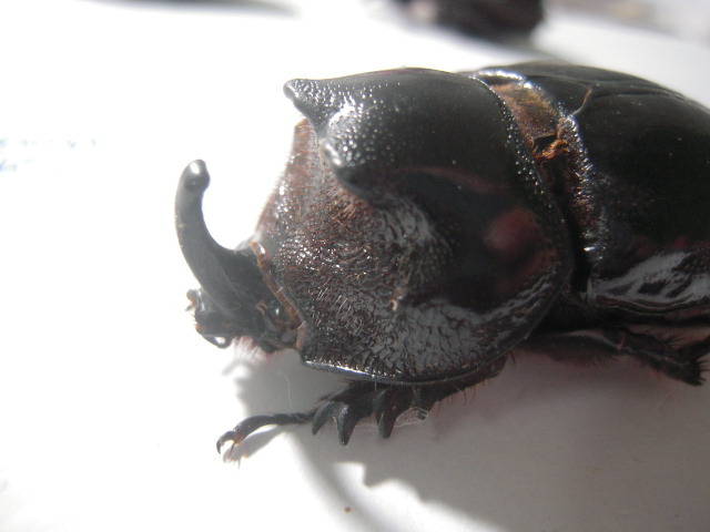 «ö¦¹¦b·sµøµ¡ÂsÄý¹Ï¤ù