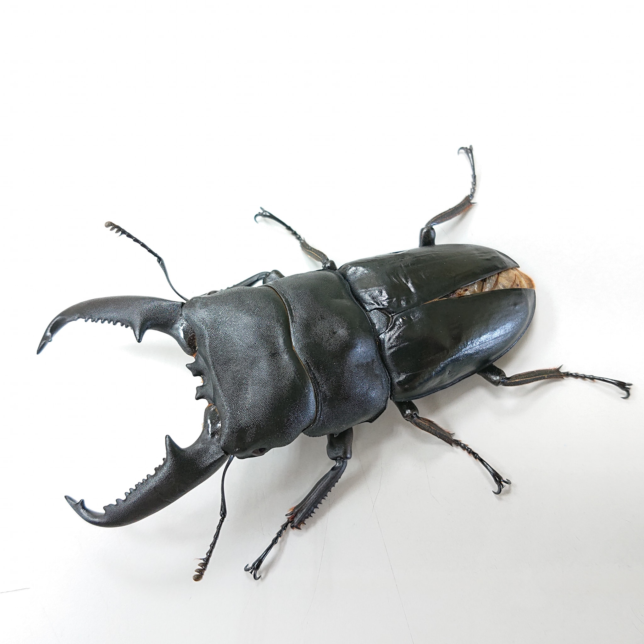 按此在新視窗瀏覽圖片