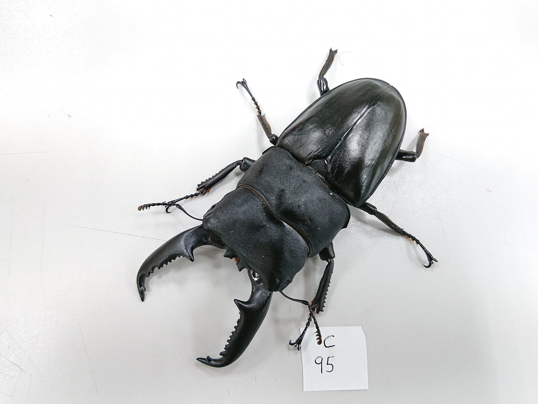 按此在新視窗瀏覽圖片