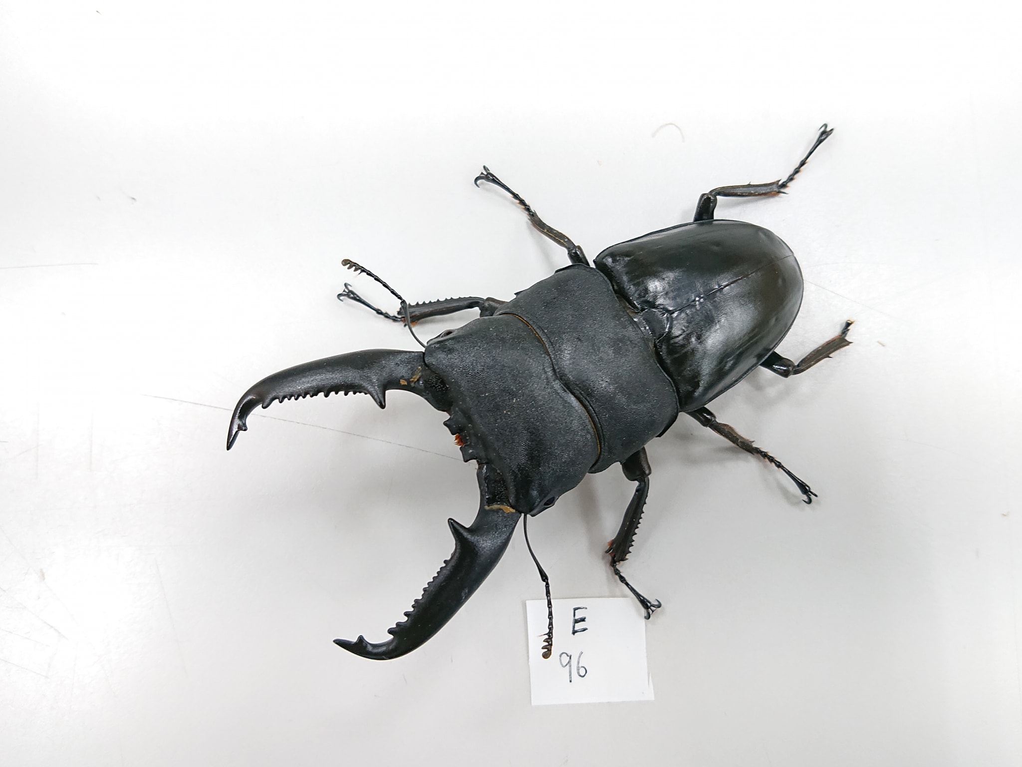 按此在新視窗瀏覽圖片