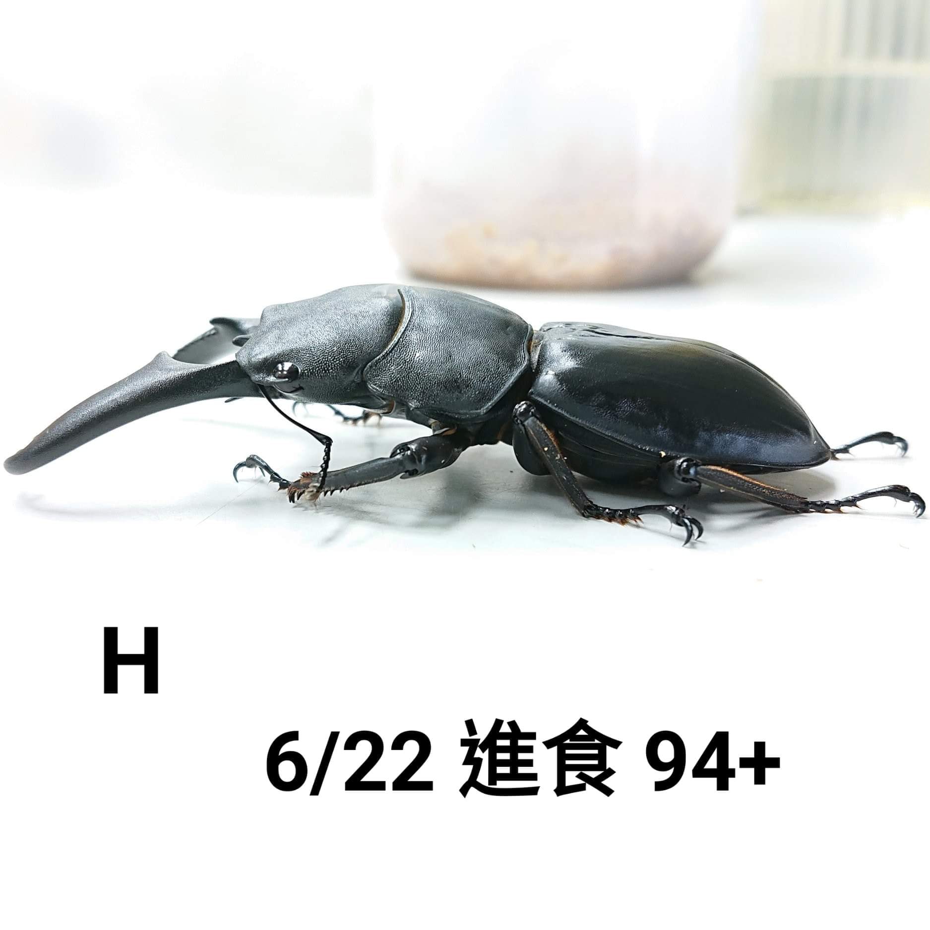 按此在新視窗瀏覽圖片