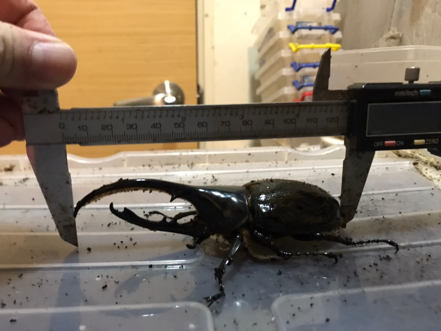 «ö¦¹¦b·sµøµ¡ÂsÄý¹Ï¤ù