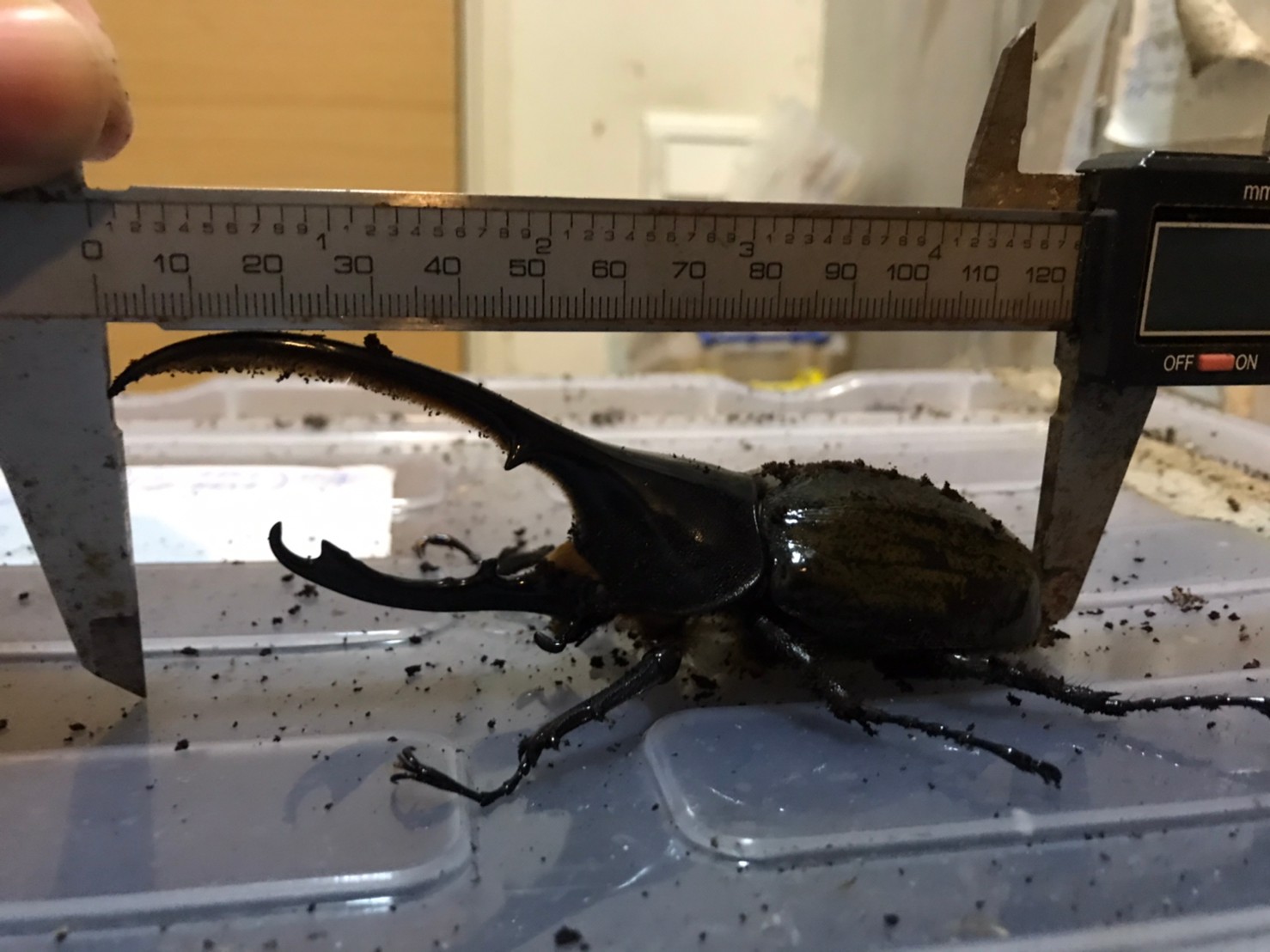 «ö¦¹¦b·sµøµ¡ÂsÄý¹Ï¤ù