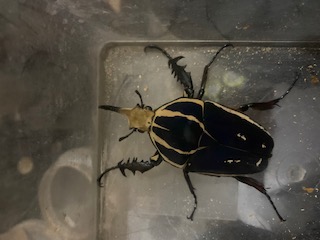 «ö¦¹¦b·sµøµ¡ÂsÄý¹Ï¤ù