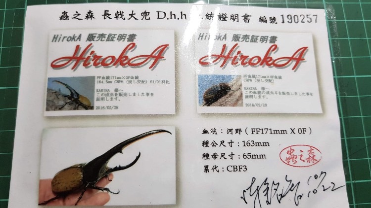 «ö¦¹¦b·sµøµ¡ÂsÄý¹Ï¤ù