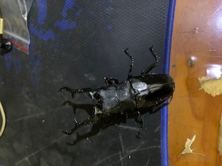 «ö¦¹¦b·sµøµ¡ÂsÄý¹Ï¤ù