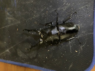 «ö¦¹¦b·sµøµ¡ÂsÄý¹Ï¤ù