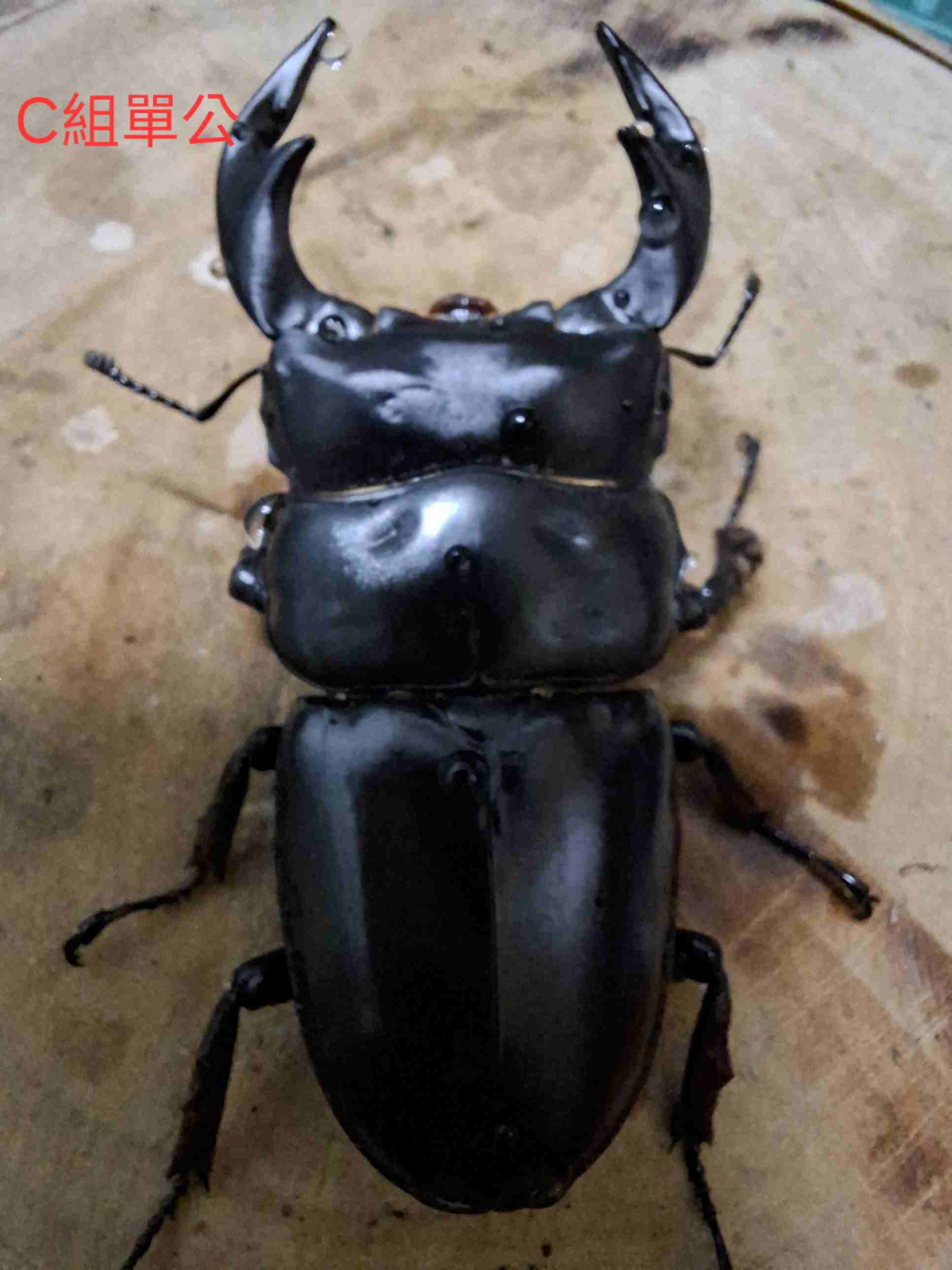 按此在新視窗瀏覽圖片