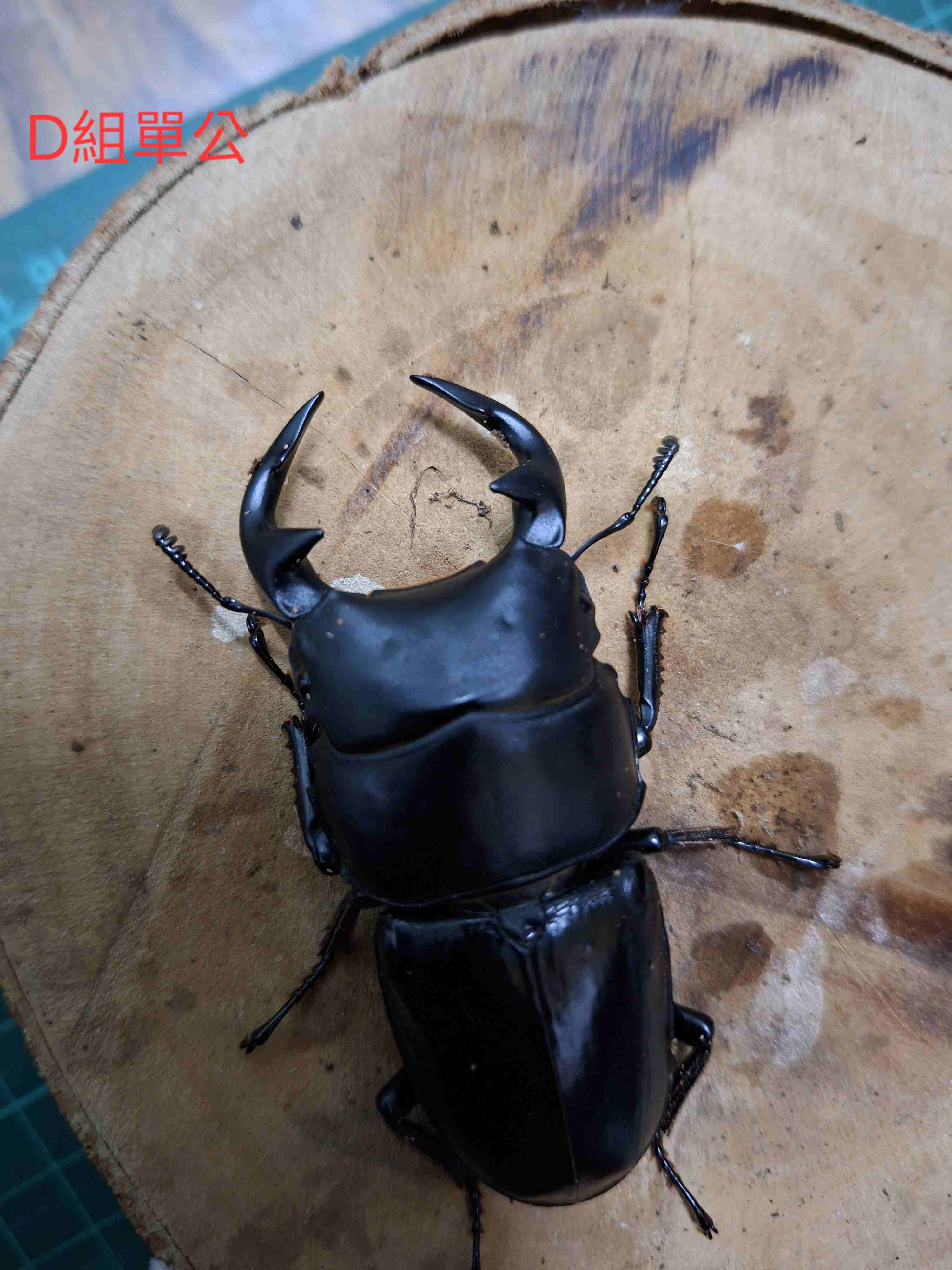 按此在新視窗瀏覽圖片