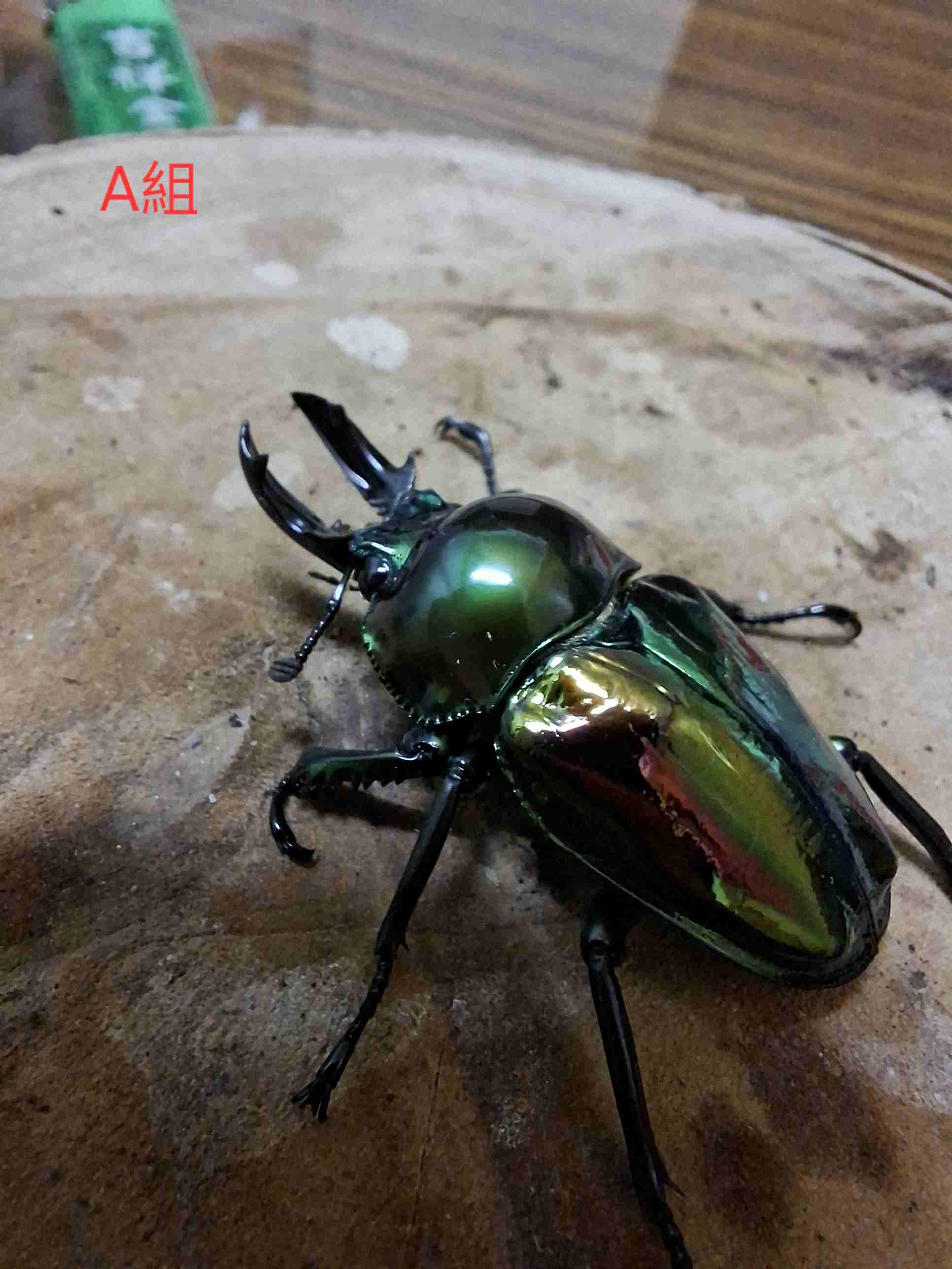 按此在新視窗瀏覽圖片