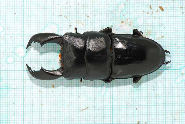 按此在新視窗瀏覽圖片