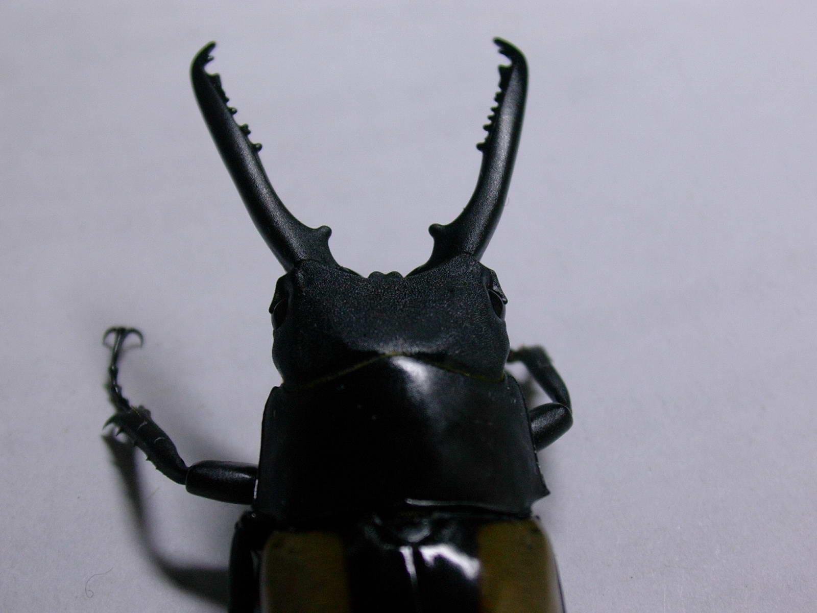 按此在新視窗瀏覽圖片