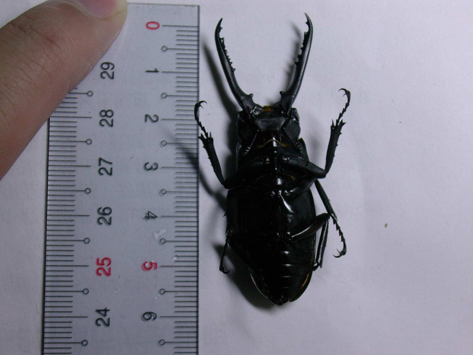 按此在新視窗瀏覽圖片