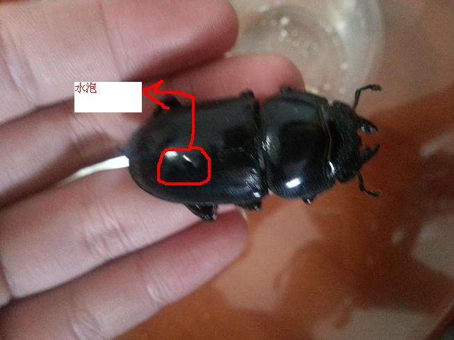 «ö¦¹¦b·sµøµ¡ÂsÄý¹Ï¤ù