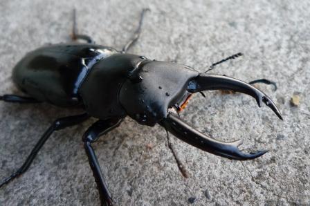 按此在新視窗瀏覽圖片