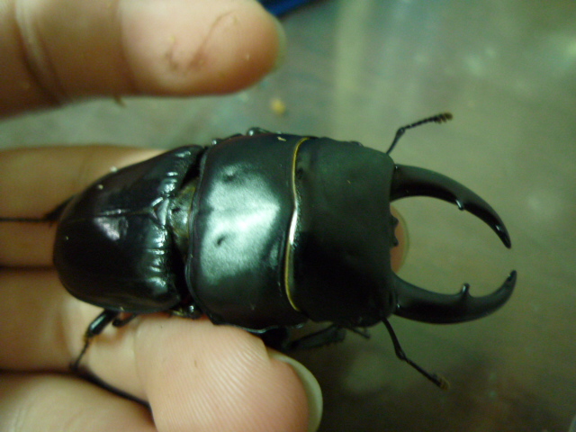 按此在新視窗瀏覽圖片