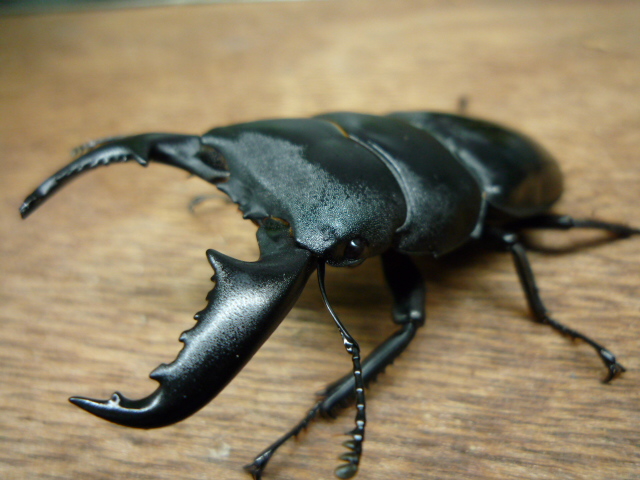 按此在新視窗瀏覽圖片