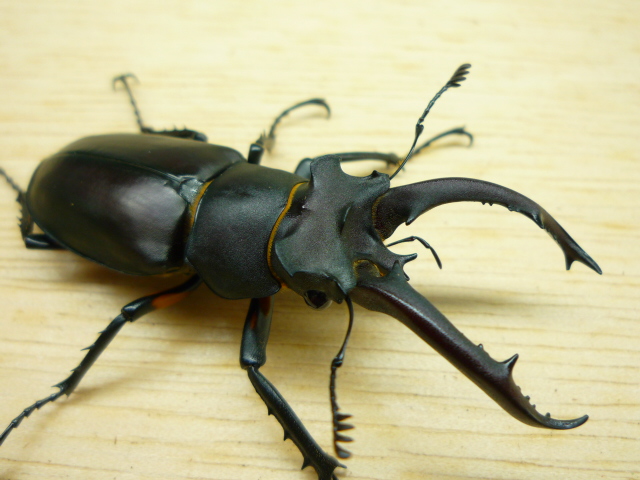 按此在新視窗瀏覽圖片