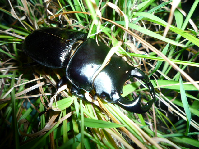 按此在新視窗瀏覽圖片