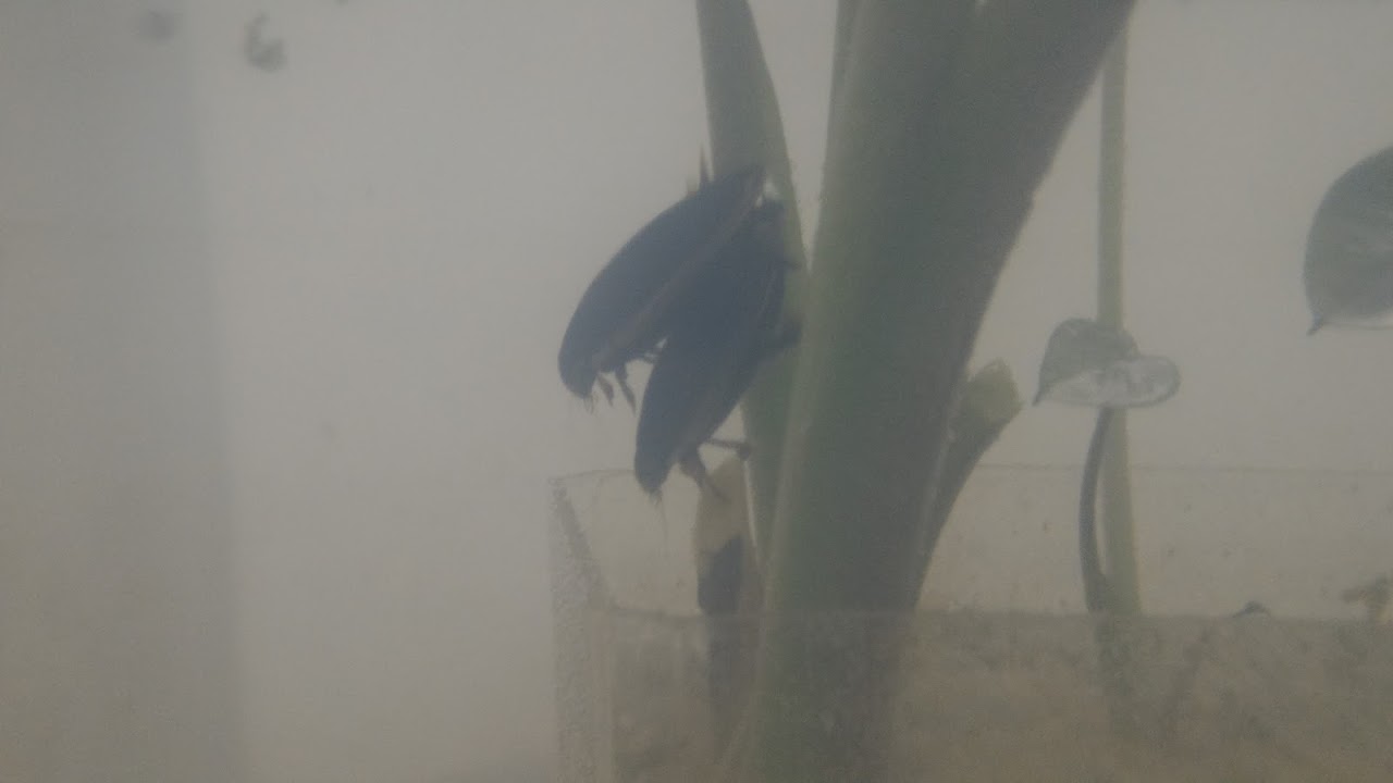 «ö¦¹¦b·sµøµ¡ÂsÄý¹Ï¤ù