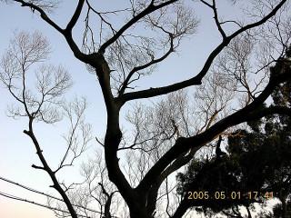 按此在新視窗瀏覽圖片