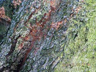 «ö¦¹¦b·sµøµ¡ÂsÄý¹Ï¤ù