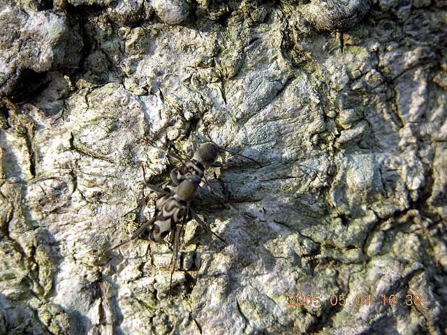 «ö¦¹¦b·sµøµ¡ÂsÄý¹Ï¤ù