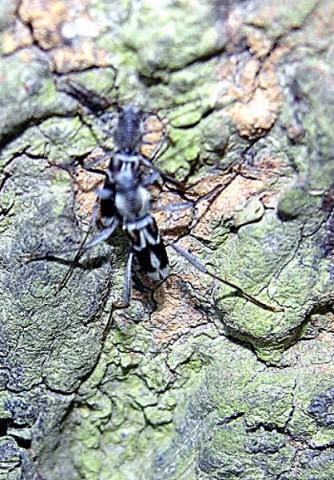 «ö¦¹¦b·sµøµ¡ÂsÄý¹Ï¤ù