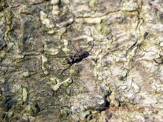 «ö¦¹¦b·sµøµ¡ÂsÄý¹Ï¤ù